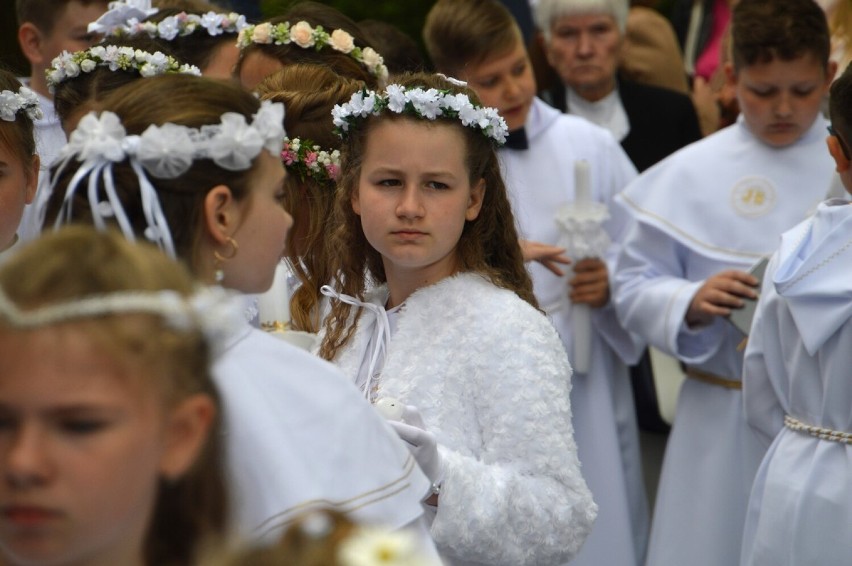 I Komunia Święta w Rawiczu (2022). Dzieci ze Szkoły Podstawowej w Sierakowie przystąpiły do sakramentu w farze [ZDJĘCIA - 08.05.2022]