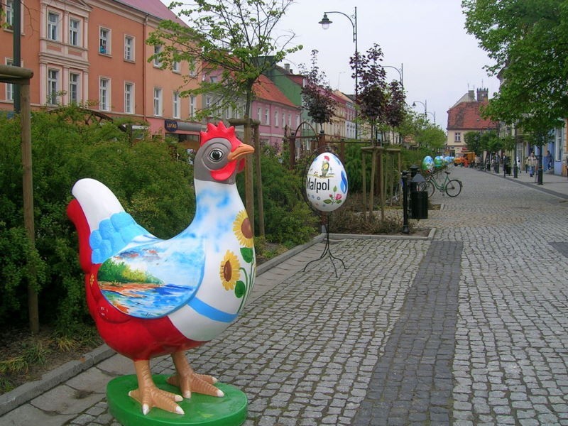 Zając wrócił z Warszawy do Nowej Soli. Mieszkańcy podziwiają i fotografują