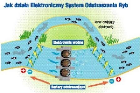 Infograf:SPGW