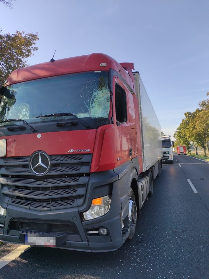 Zderzenie dwóch ciężarówek na trasie Grodzisk - Ruchocice 