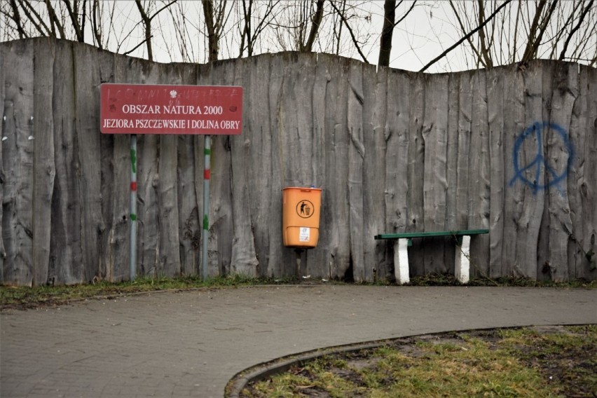 Zbąszyń: Beztroska i brak szacunku dla bliźnich! Zalegające w różnych miejscach śmieci - 16 marca 2021 [Zdjęcia]