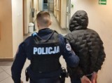 Narkotyki nieśli w lodówce, mimo to policjanci wyczuli ich zapach. Czterech mężczyzn zatrzymanych w Gdyni 