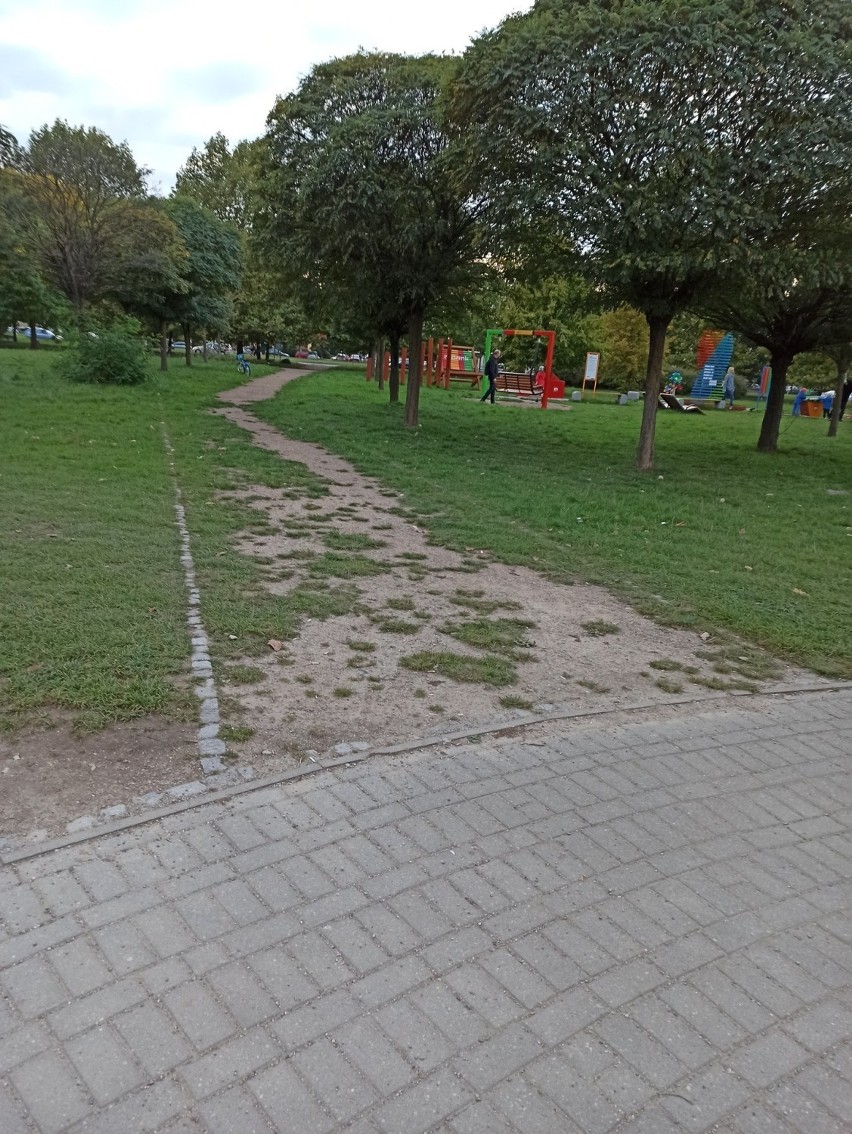 Tak wyglądają ścieżki w parku Górczyńskim.