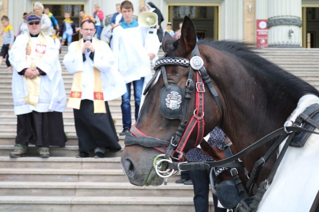 Sanktuarium w Licheniu