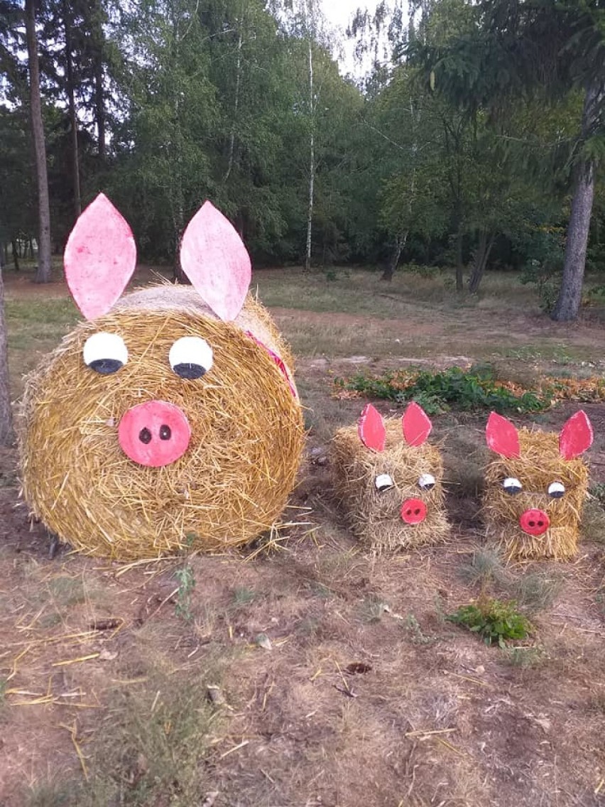 W Bogdanowie i Ryczywole trwają przygotowania do dożynek