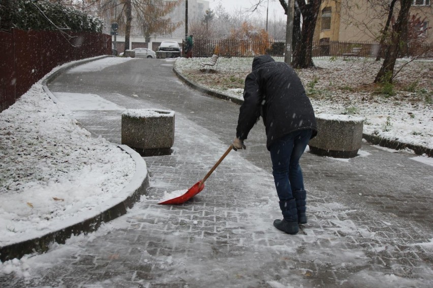 Pierwszy śnieg spadł w Krakowie [ZDJĘCIA]