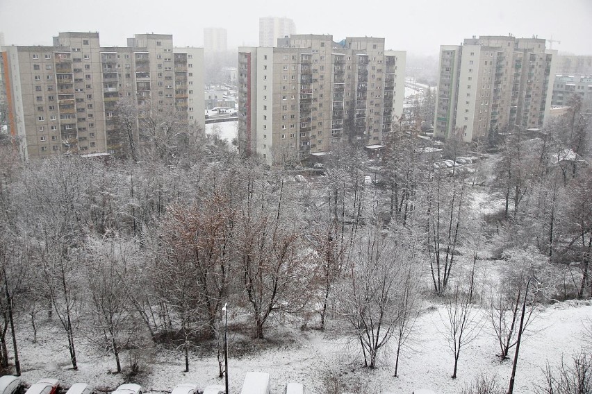 Pierwszy śnieg spadł w Krakowie [ZDJĘCIA]