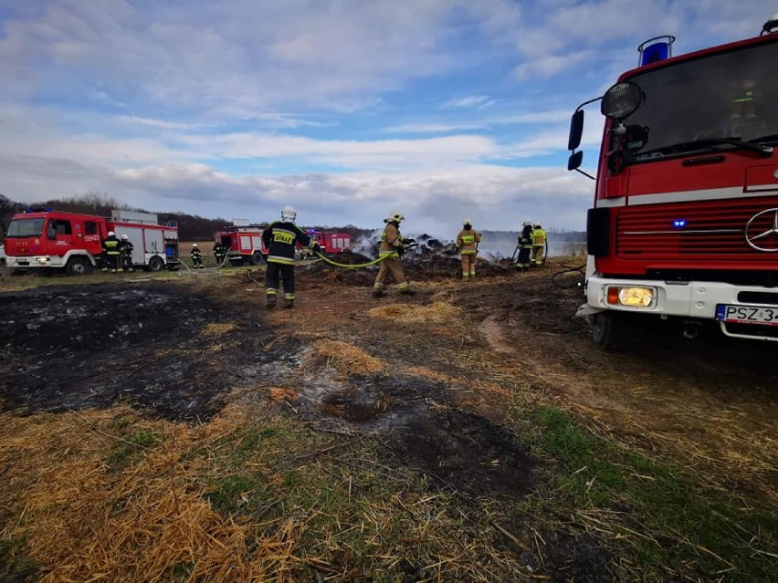 Strażacy ochotnicy gasili pożar w Kunowie [ZDJĘCIA]
