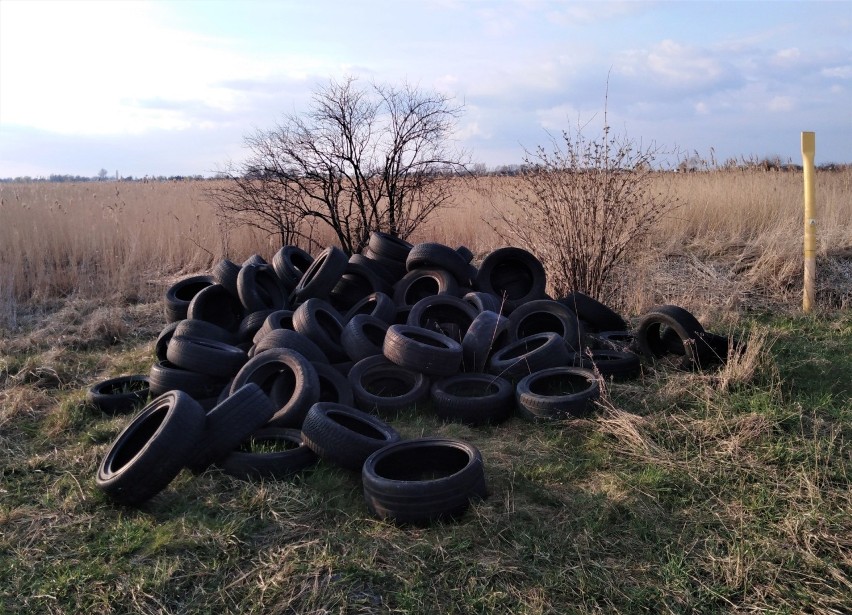 Na Kozłówce leżącej na pograniczu miasta oraz gminy...