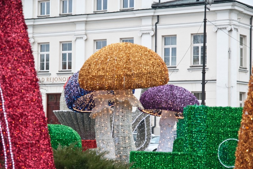 Płockie Ogrody Światła. Zobaczcie, jak wygląda iluminacja...