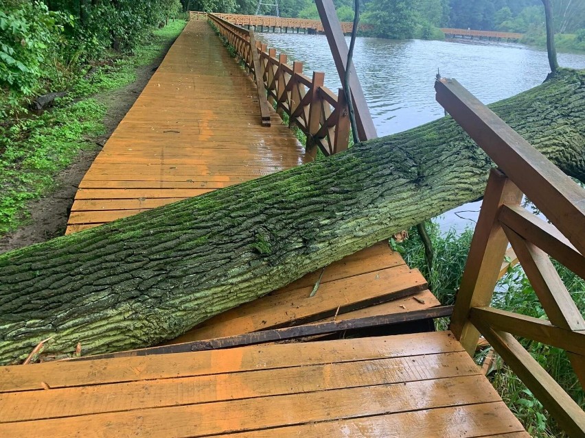 Drzewo przewróciło się na drewniany pomost na zalewie w Lisowicach. Trwa naprawa uszkodzeń