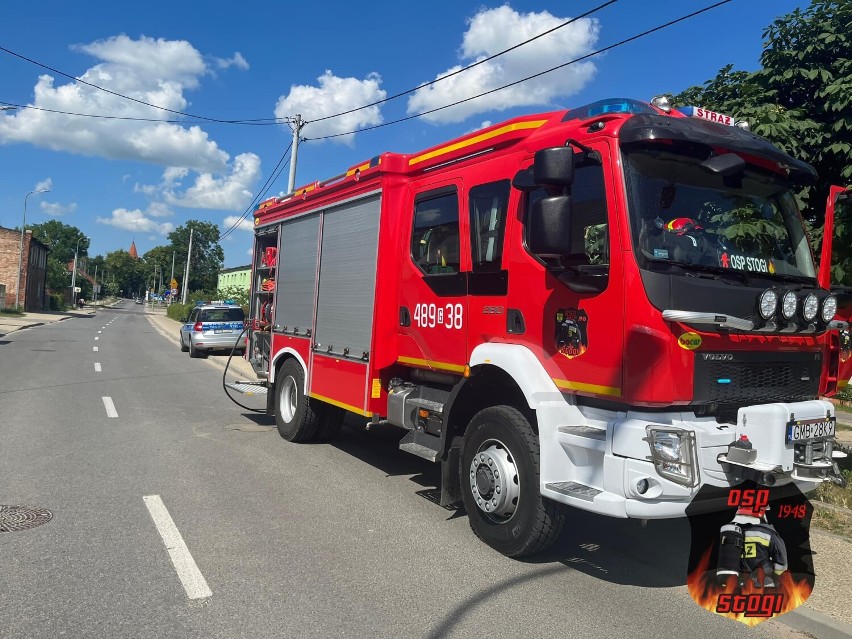 Uwolniony jeż i ptaki, wypadek drogowy i pożary. Tygodniowy raport Komendy Powiatowej PSP w Malborku