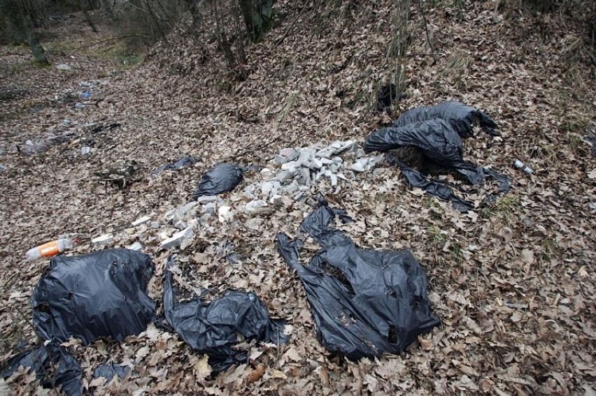 Dzikie wysypisko śmieci w lasku przy ulicy Polkowickiej w Legnicy [ZDJĘCIA]