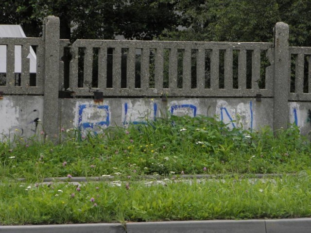Nielegalne graffiti w Żorach. Walka kosztuje 148 tys. zł