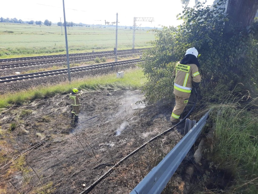 Powiat malborski. Garnek na kuchence. zwarcie instalacji w bloku i pożar trawy na nasypie kolejowym. Raport tygodniowy KP PSP Malbork