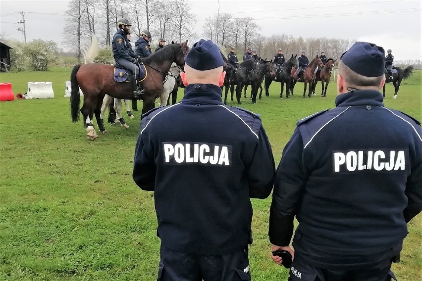 Konny patrol tomaszowskiej policji na szkoleniu służb mundurowych w Gajewnikach [ZDJĘCIA]