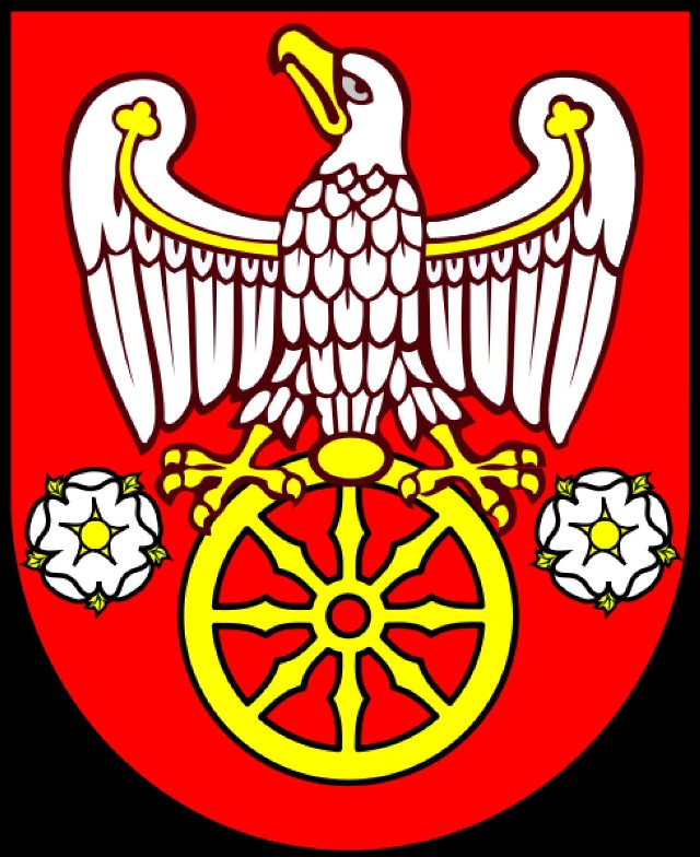 Wybory 2014: Powiat kolski