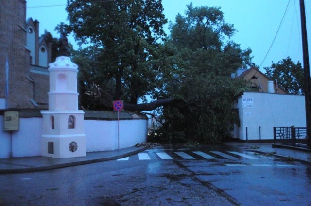 Ostrzeżenie meteo: znów będzie mocno wiało