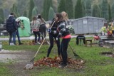 Uczniowie sprzątali cmentarz w Legnicy (ZDJĘCIA)