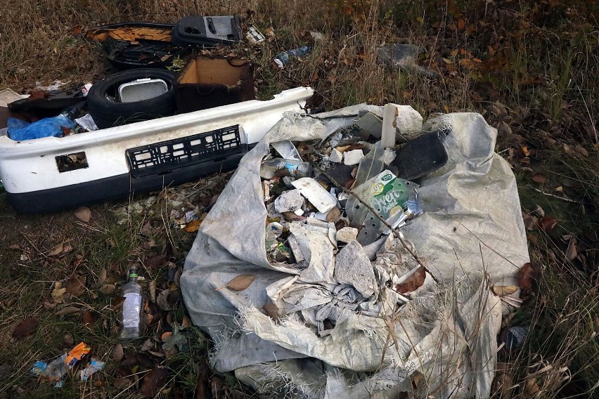 Dzikie wysypisko śmieci w Legnicy. To ulubione miejsce śmieciarzy, zobaczcie zdjęcia