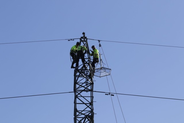 Na terenie Nadleśnictwie Kłodawa stanęła specjalna platforma lęgowa dla ptaków. Została umieszczona na jednym ze słupów linii elektroenergetycznej.