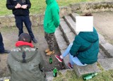 16-latka i jej koledzy pili alkohol na placu zabaw dla dzieci (Plac Energetyka) w Jeleniej Górze