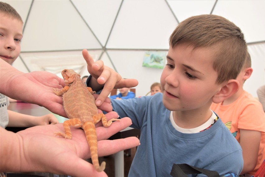 Zajęcia edukacyjne w Zoo Borysew koło Poddębic. Wielka atrakcja dla dzieci. Zobacz ZDJĘCIA