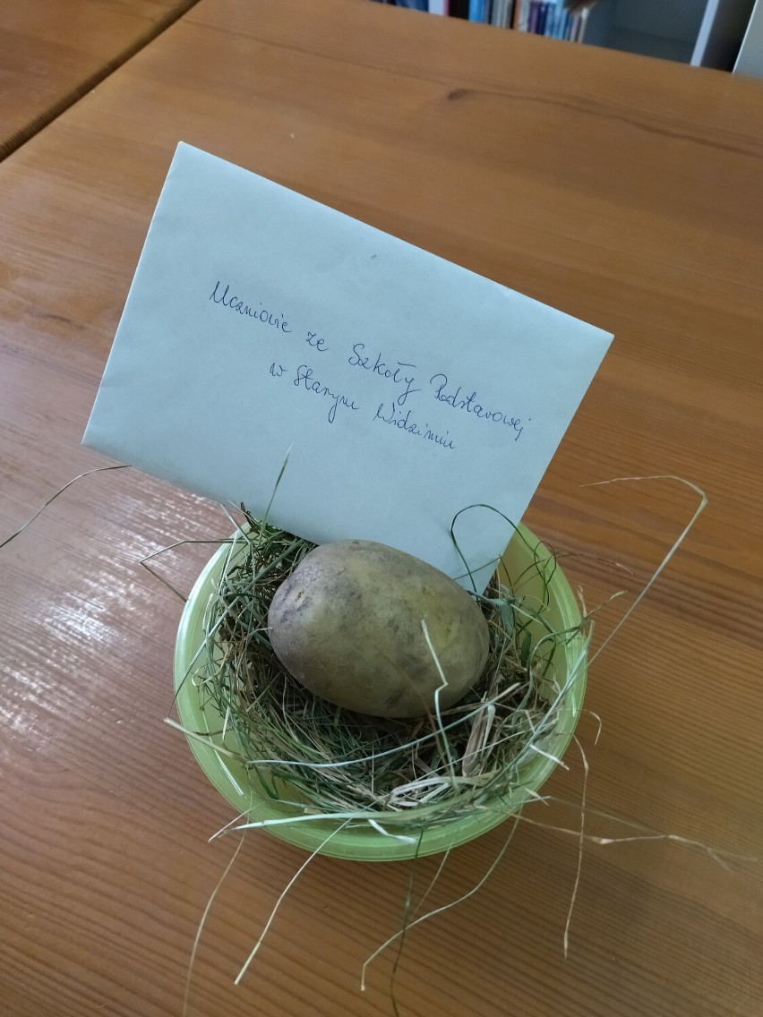 Dzień Ziemniaka - w filii wolsztyńskiej biblioteki w Starym Widzimiu