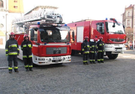 Strażacy chcą gasić ogień, a nie łapać koty na drzewach. Fot Polskapresse