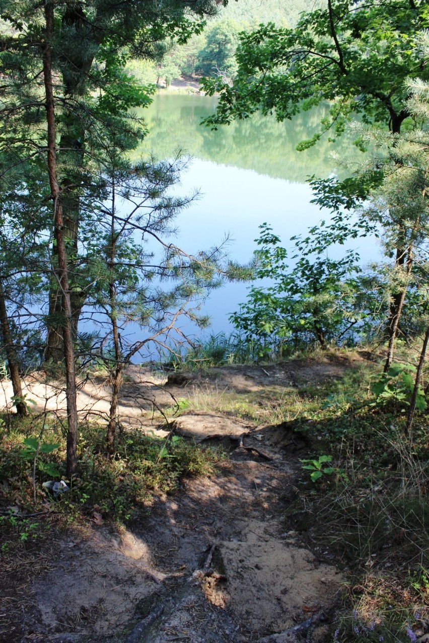 Jeziorko Czarne schowane wśród lasów.