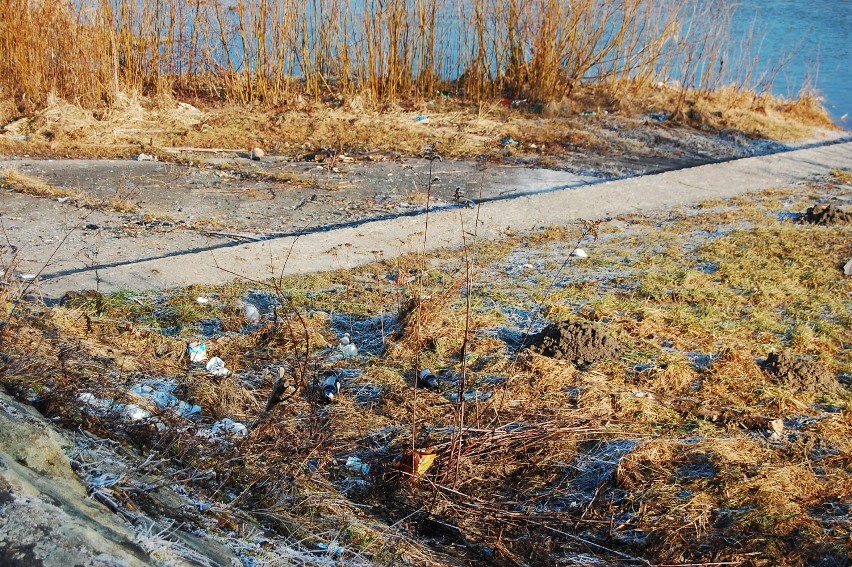 Wysypisko śmieci nad Kamienicą i Dunajcem. Pełno szkła i butelek po piwie [ZDJĘCIA]