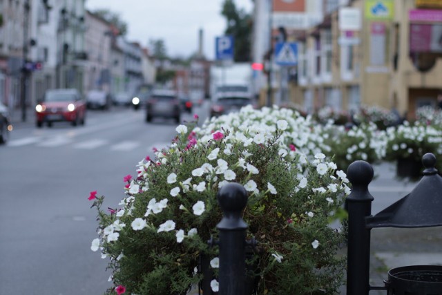 Lato minęło, ale kwiaty w Nowej Soli nadal wyglądają pięknie. Kliknij w przycisk "zobacz galerię" i przesuwaj zdjęcia w prawo - naciśnij strzałkę lub przycisk NASTĘPNE