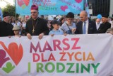 Marsz dla Życia i Rodziny w Lublinie. Ulicami przemaszerowało ok. 1,5 tys. osób.