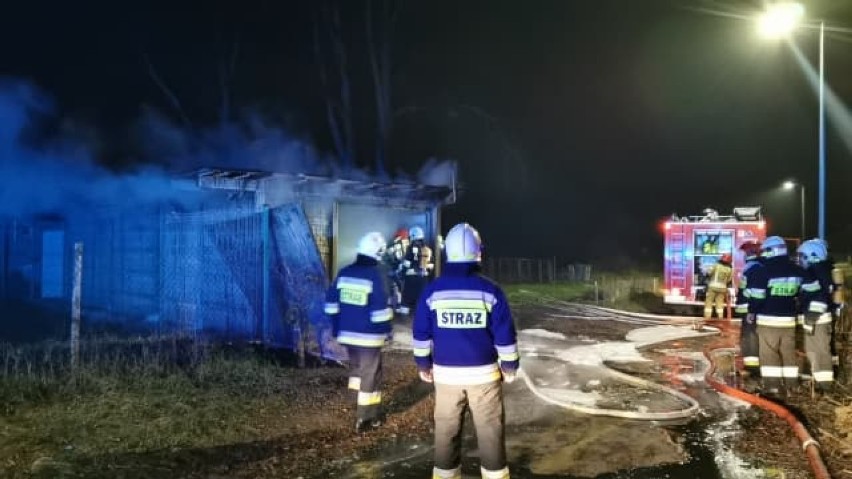 Pożar BWM w Niałku Wielkim. Auto prawdopodobnie zostało podpalone! [ZDJĘCIA]