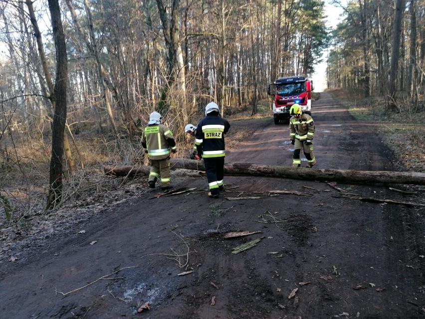 Powiat sztumski. Wichury nie są straszne dla druhów z OSP