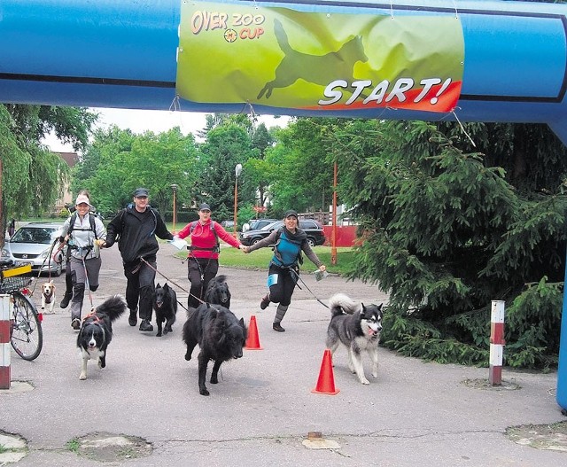 I Mistrzostwa Ziemi Łódzkiej w DogTrekkingu