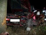 Wypadek w Orchowie. Opel uderzył w drzewo