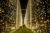 Tu jest jak w bajce! Oto niezwykłe iluminacje w Parku Reagana w Gdańsku. Wielki świetlny tunel i tysiące światełek! 