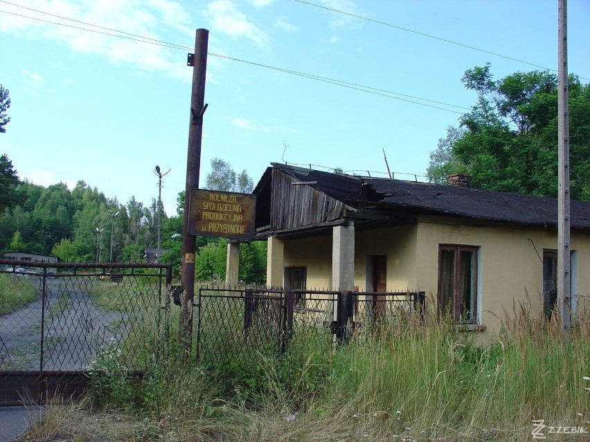 Zobaczcie zdjęcia z Jury z lat 50.,60.,70.,80.,90., a także...