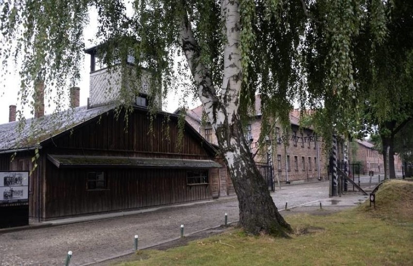 Koronawirus. Oświęcim. Muzeum Auschwitz-Birkenau zamknięte