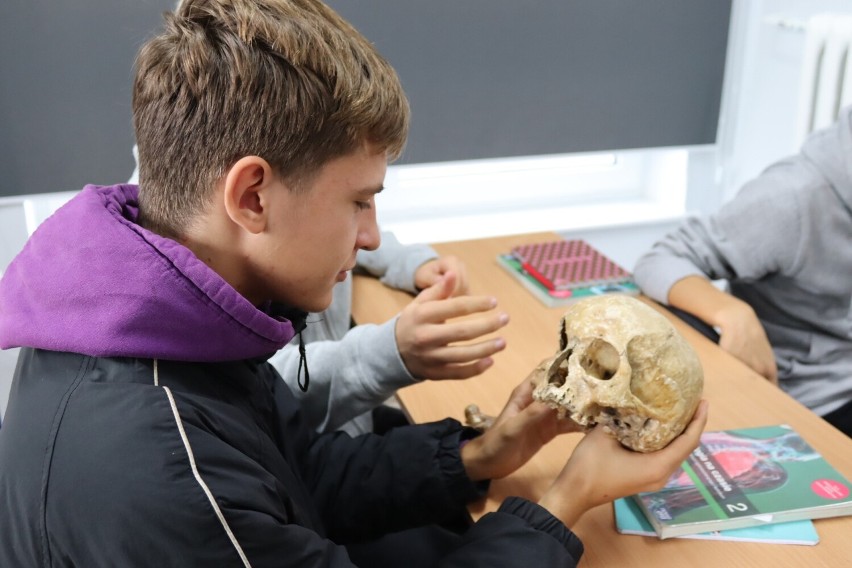 W ZSI w Słupsku na lekcjach biologii korzysta się z... ludzkich kości [ZDJĘCIA]