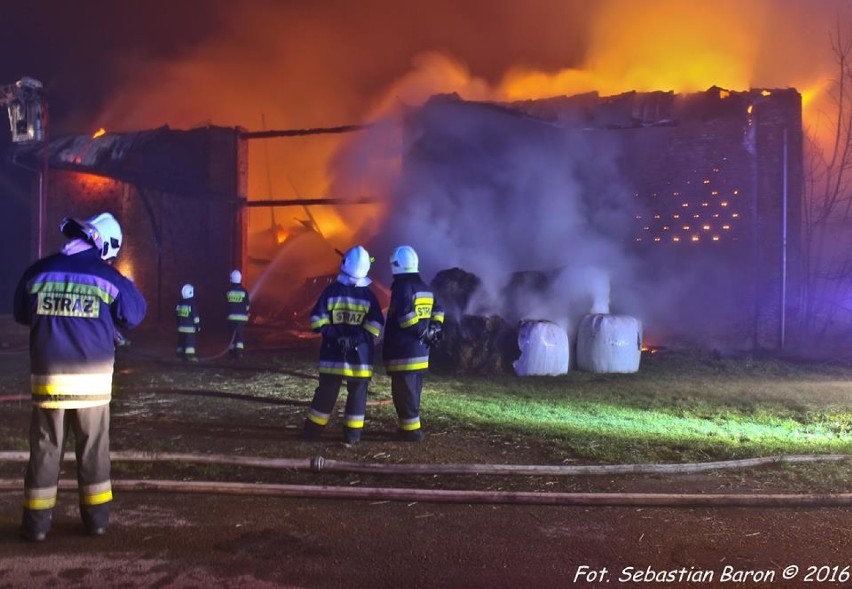 Pożar w Zbrosławicach w ośrodku jeździeckim [ZDJĘCIA]: Spłonęło 300 ton słomy