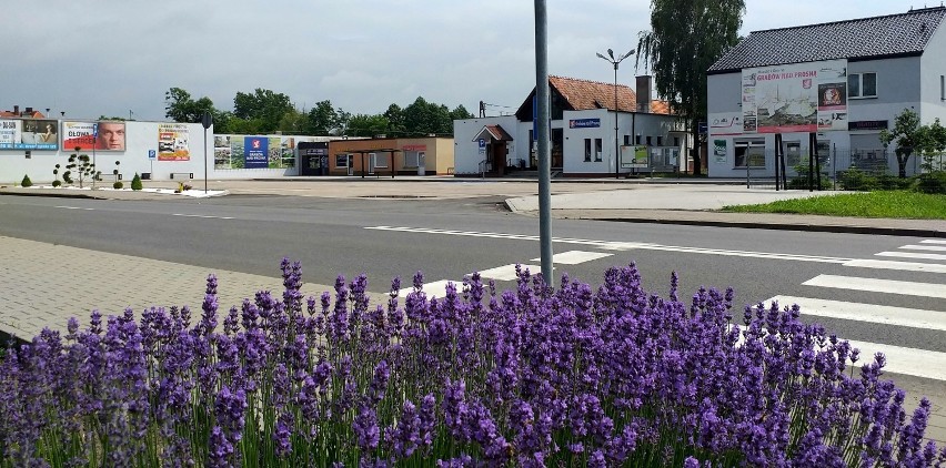 Dworzec autobusowy w Grabowie nad Prosną przeszedł modernizację ZDJĘCIA