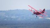 Plaga szkodników w lubuskich lasach. Trwają lotnicze opryski. Obowiązuje zakaz wstępu do lasów!