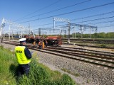 Wypadek w Zduńskiej Woli Karsznicach. Wykoleił się pociąg z kruszywem. ZDJĘCIA