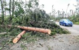 Wichura zdemolowała wiele dróg w Kujawsko-Pomorskiem