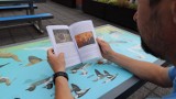 „Połączeni dziedzictwem Łukomia” – taką książkę wydał Zaborski Park Krajobrazowy w Charzykowach | ZDJĘCIA, WIDEO