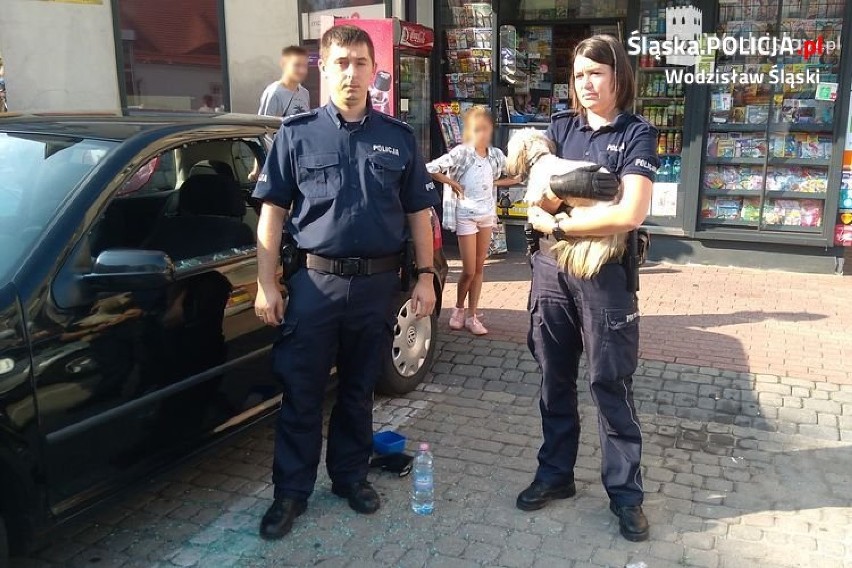 Wodzisławscy policjanci uratowali życie psa zamkniętego w samochodzie [ZDJĘCIA]