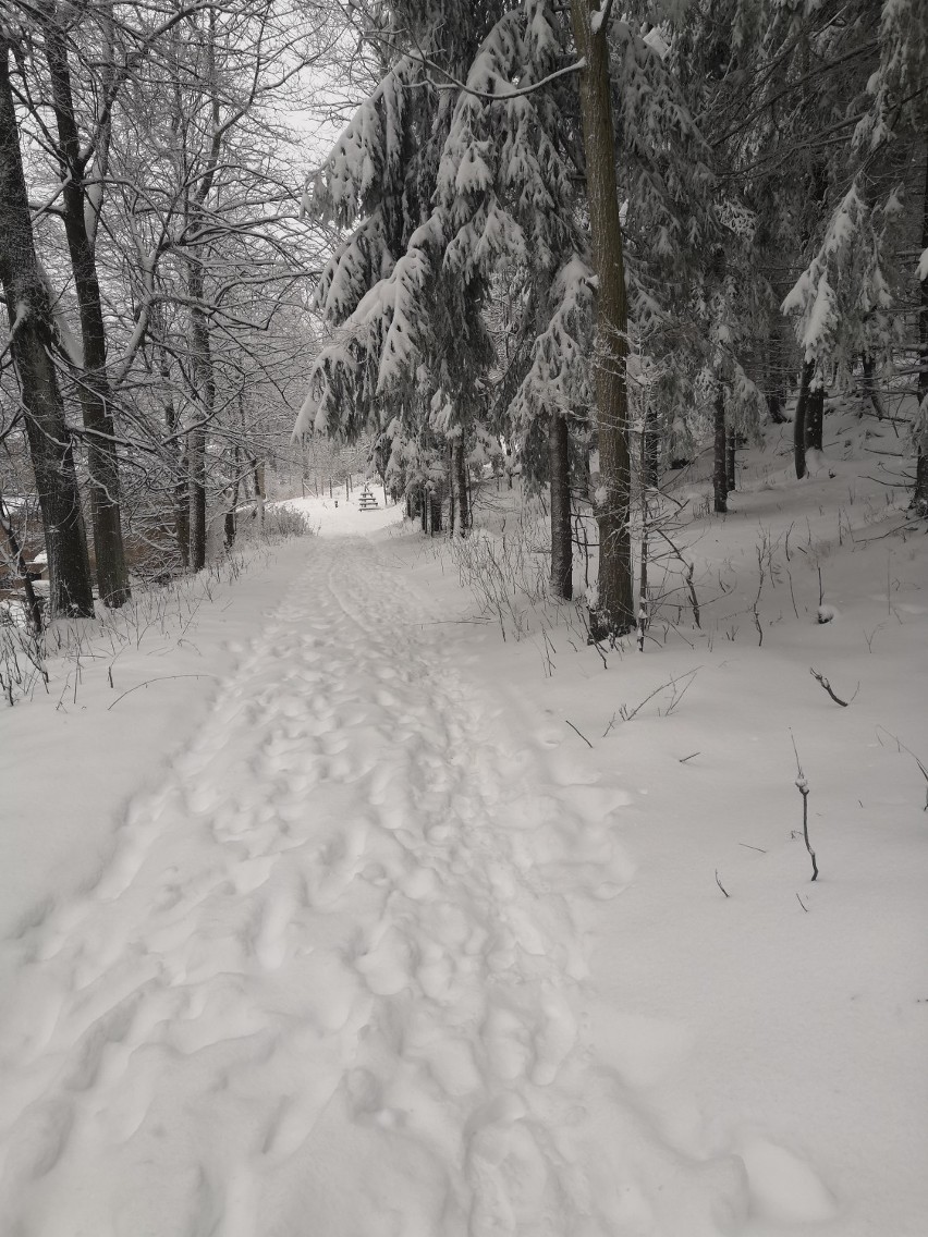 W Karkonoszach mnóstwo śniegu i fanów sportów zimowych [ZDJĘCIA]