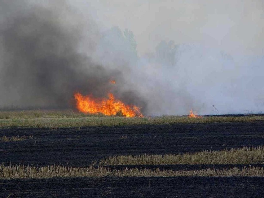 Pożar ścierniska w Łeszczynie